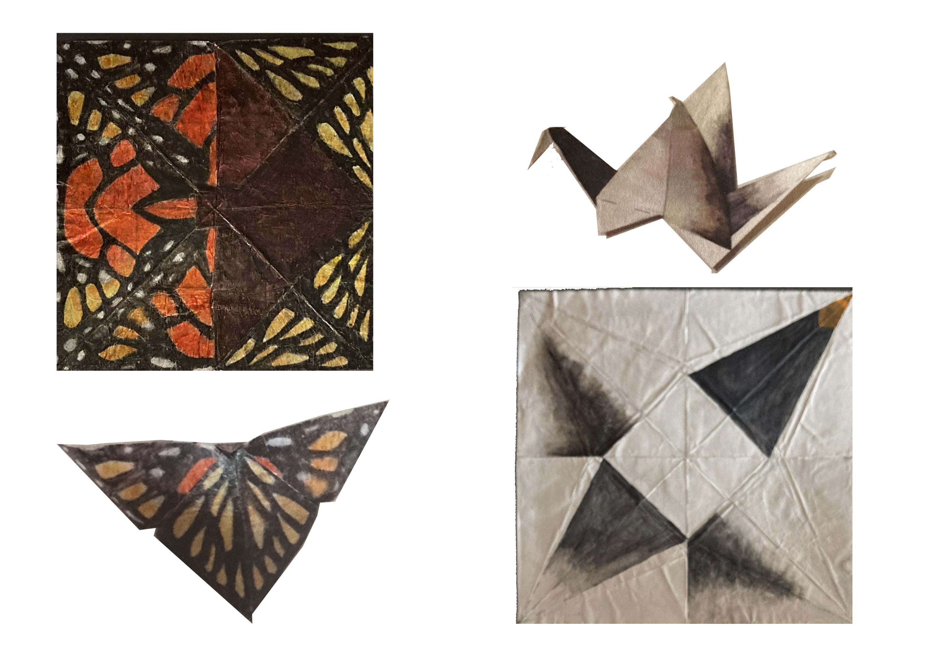 Titch designs origami exploration 