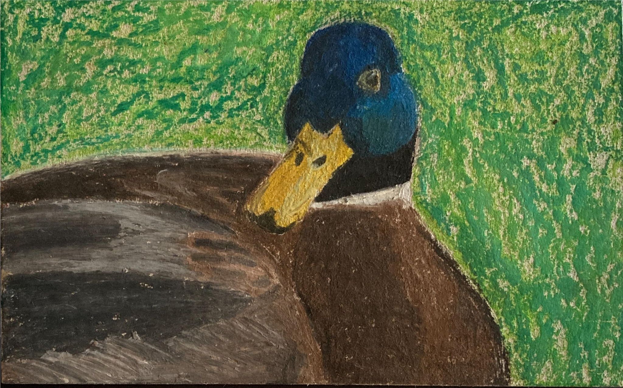 Rich designs oil pastel duck