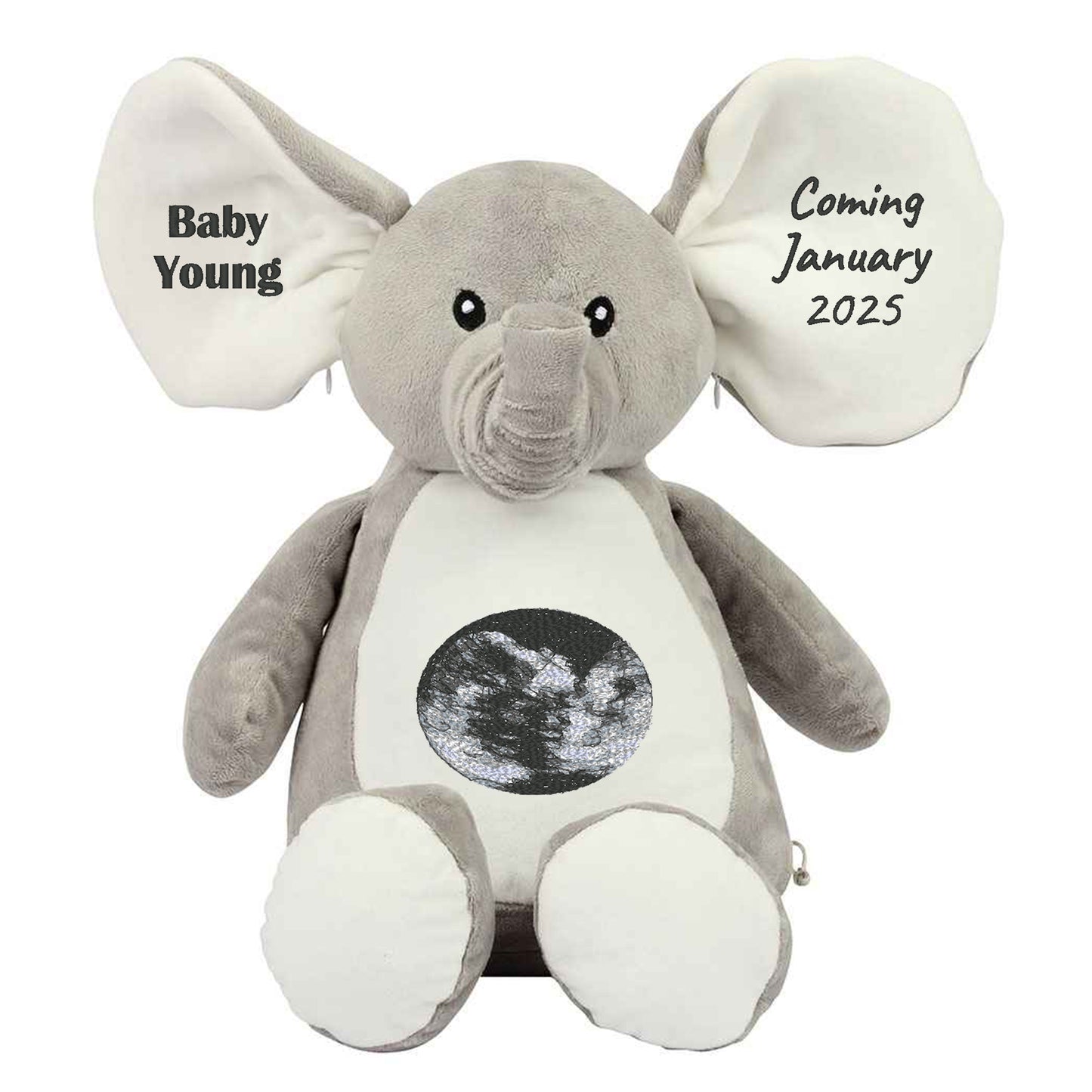 Pregnancy Announcement Elephant