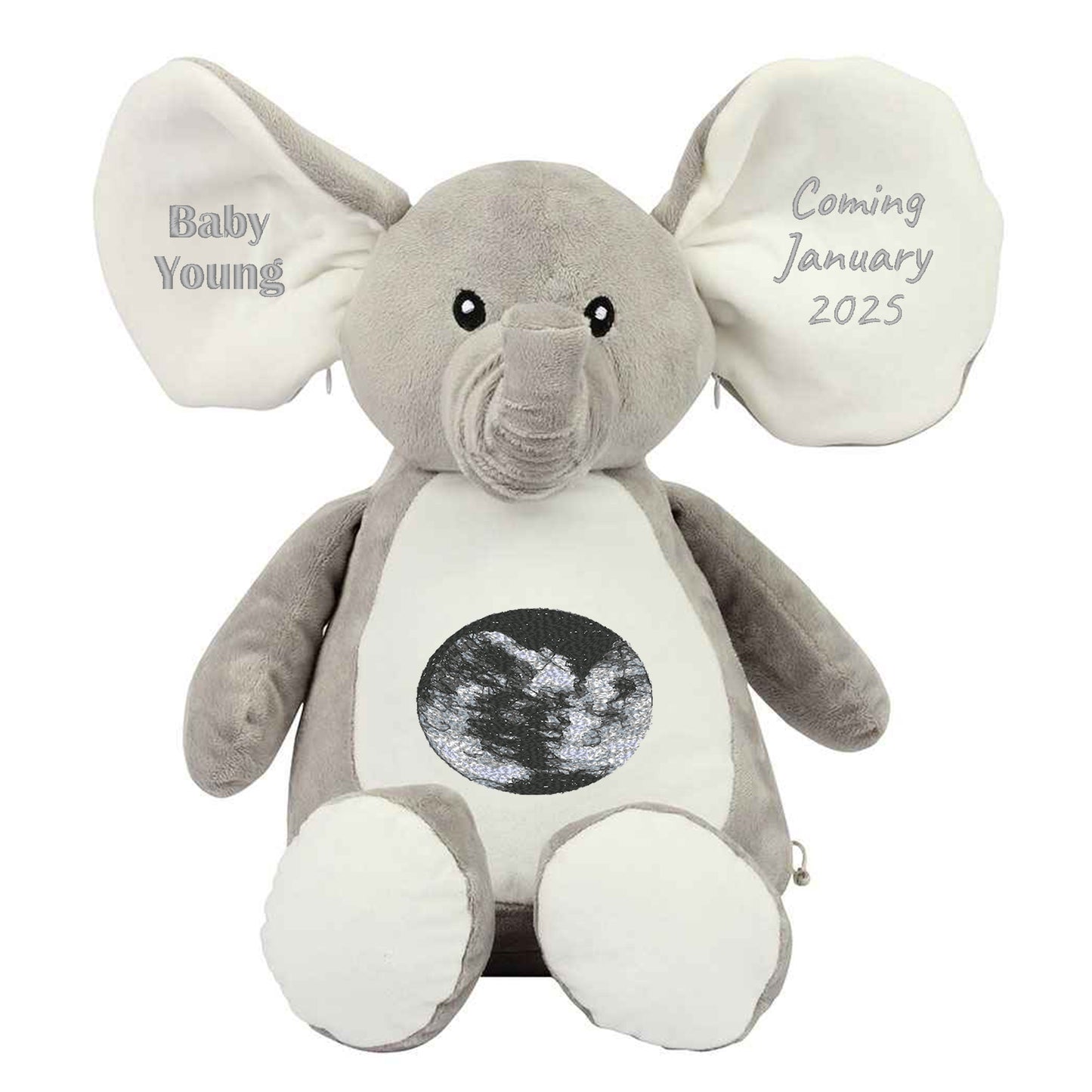 Pregnancy Announcement Elephant