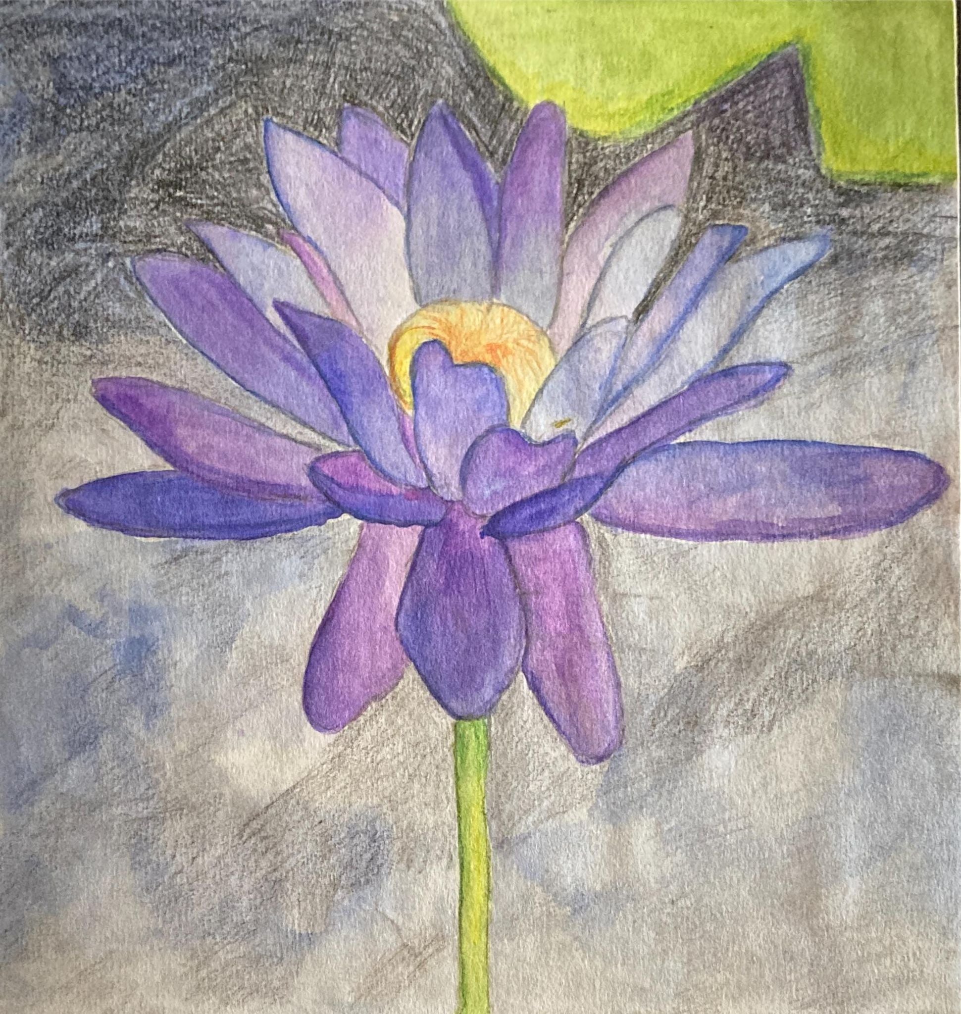 Titch designs watercolour lotus 