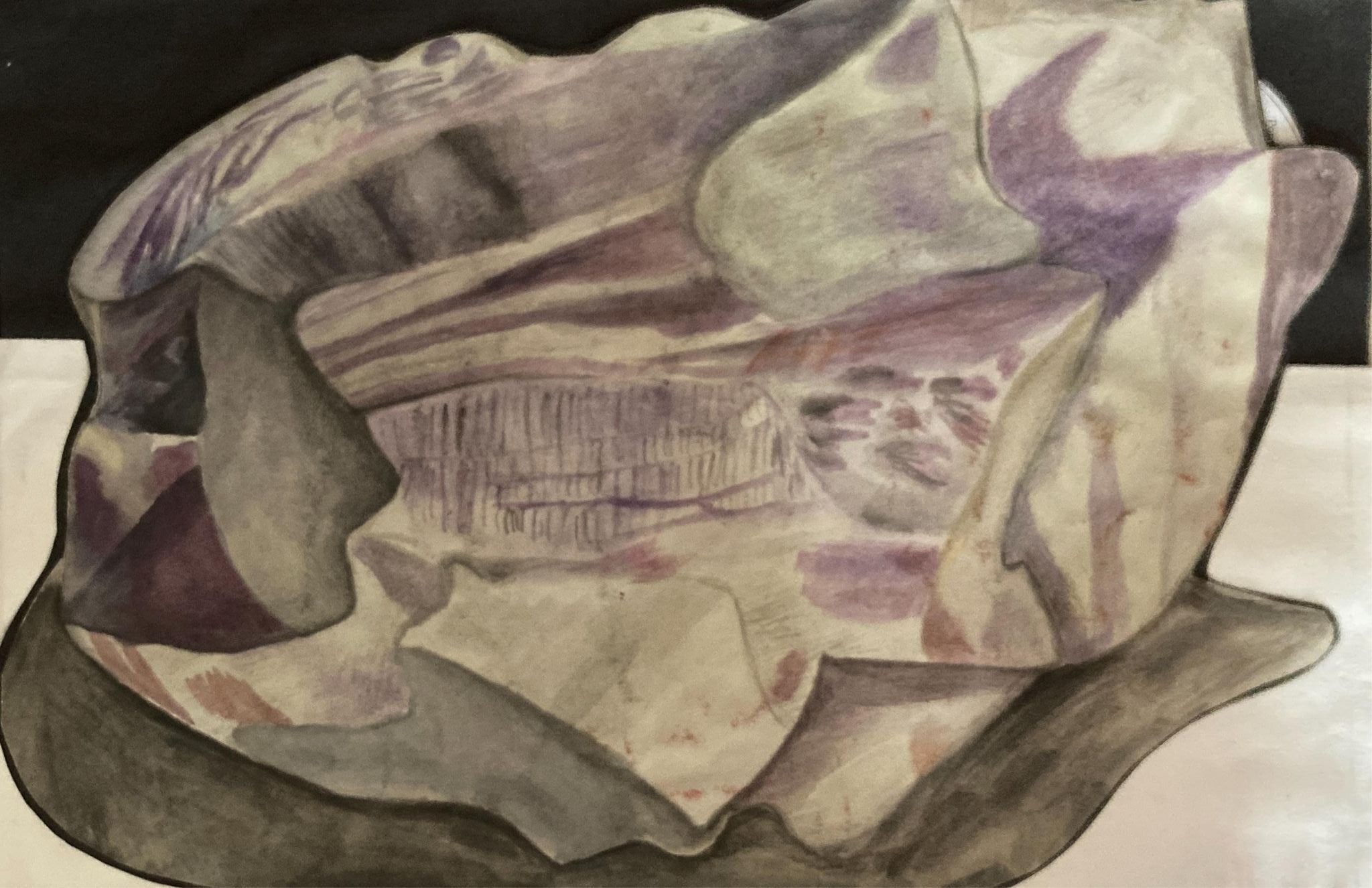 Titch designs watercolour shell 