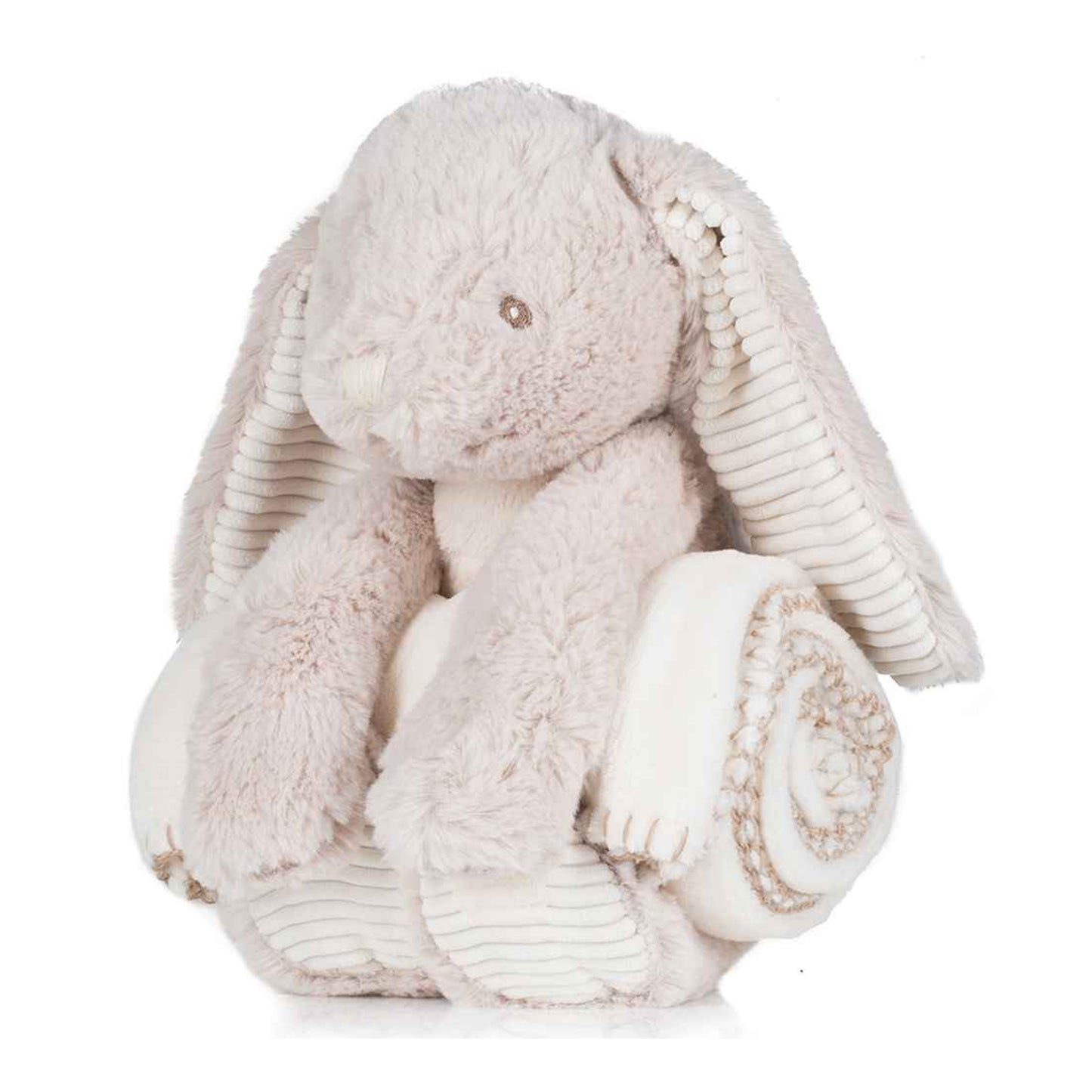 Bunny home image